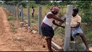 Fencing Work in Agricultural Fencing Stone in Fittings of Barbed Wire Fencing Tamil Nadu [upl. by Lahpos]