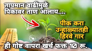 vedant greensill ultra  सिलिकॉन चे फायदे  सिलिकॉन फवारणी digitalyuvashetkari [upl. by Sherborn]