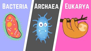 The Three Domains of Life BacteriaArchaeaEukarya [upl. by Nelhsa]