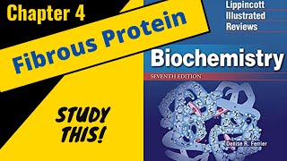 Lippincotts Biochemistry Review Chapter 4 Fibrous Proteins  Study This [upl. by Ilohcin]