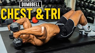 30 Minute Dumbbell Chest amp Triceps Workout No Bench  Build Muscle 2 [upl. by Eniortna]