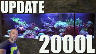 2000L Meerwasseraquarium nach 15 Jahren Standzeit [upl. by Zzaj]