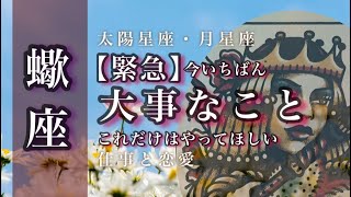 ♏️蠍座🌙実現 行動あるのみ 目指すものを明確に 自分をもっと信じていい🌟しあわせになる力を引きだすタロットセラピー [upl. by Carmena]