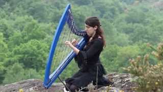 Alesia  ELUVEITIE  harp  harpe  竖琴 [upl. by Saalocin]