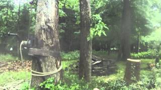 Rigging Whole Tree with the GRCS TreeStuffcom Tech Tips [upl. by Mercier]