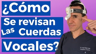 Laringoscopia ¿Cómo se revisan las cuerdas vocales Endoscopía de cuerdas vocales [upl. by Merriman]