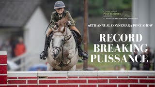 RECORD BREAKING PUISSANCE JUMP  98th Connemara Pony Show [upl. by Haziza]