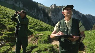 LONF fait le recensement des oiseaux en forêt de Chartreuse [upl. by Panther669]