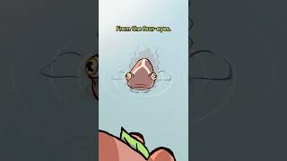 Largescale Foureyes 👀👀🐟 animation original cartoon [upl. by Russia]