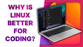 Why Linux is better for most developers [upl. by Llenyr]