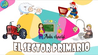 El Sector Primario  Educación Primaria  Aula chachi  Vídeos educativos para niños [upl. by Itsur615]