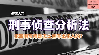 【犯罪心理】犯罪侧写师是怎么侧写出犯人的？刑事侦查分析法 [upl. by Wilinski676]