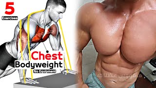 Bodyweight Chest Workout ONLY at Home [upl. by Iona]