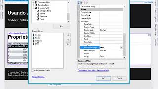 ASPNET WebForms  Usando Data Controls [upl. by Assetnoc]