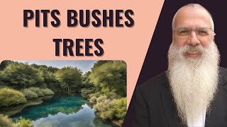 Mishnah Taanit Chapter 3 Mishnah 2 Pits bushes trees [upl. by Haral]