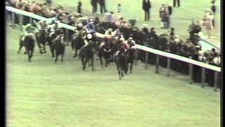 1977 Tote Ebor Handicap [upl. by Nogam]