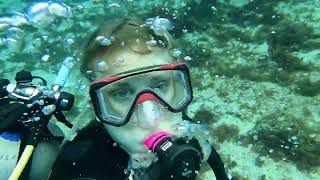 Cozumel Diving Dec2023 [upl. by Yruy367]