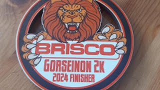 Brisco Gorseinon 10K amp 2K Family Fun Run [upl. by Ayamat]