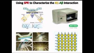 Characterizing ProteinProtein Interactions in Alzheimers Disease Using the ProteOn™ XPR36 System [upl. by Notyap]