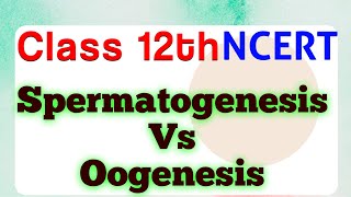 Differences between Spermatogenesis and Oogenesis  Class 12  Chapter 2 ScienceByDeeba [upl. by Oribella561]