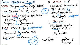 Pancreatic Carcinoma  Robbins pathology chapter 17 pancreas pathology pathology mbbslectures [upl. by Deehsar239]