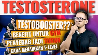 All About Testosterone Manfaat Cara Meningkatkan Testosteron suplemen Testosterone booster [upl. by Rambow613]