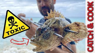 Spearfishing for VENOMOUS Scorpion Fish  Catch Clean Cook [upl. by Nevaeh]