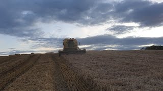 FIRST DAY OF HARVEST NEW HOLLAND TX 63 CONTRACTOR PR JM SR HOULSTON [upl. by Emlen]