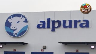 ►Los SECRETOS De La LECHE ALPURA [upl. by Sale]