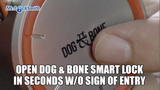 Open Dog amp Bone Smart Lock in Seconds Without Sign Of Entry [upl. by Angelica315]