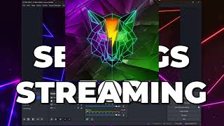 Best OBS Settings for Streaming 2024  Complete Guide [upl. by Anieral]