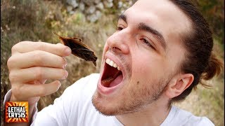 Mi primera vez COMIENDO INSECTOS GIGANTES [upl. by Nnawaj602]