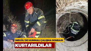 İnegölde hummalı çalışma sonrası koyunlar kurtarıldı [upl. by Redvers]