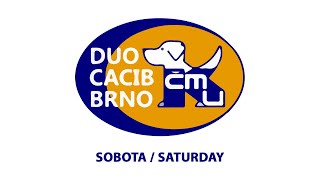 DUO CACIB BRNO 2024  Saturday [upl. by Butte]