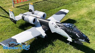 Freewing A10 Thunderbolt II quotWarthogquot Twin 80mm EDF Jet [upl. by Erreit524]