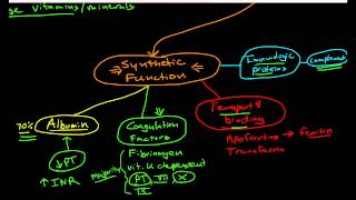 Hepatic Physiology 1 Functions of the Liver [upl. by Dympha409]