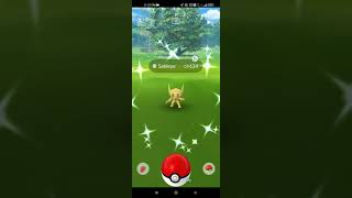 SHINY SABLEYE in the wild in Pokemon GO  Dia de Muertos event [upl. by Nathanael]