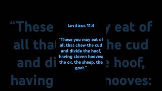 Leviticus 114 leviticus bibleverse jesuschrist [upl. by Toscano]