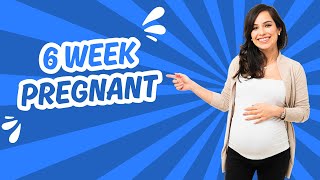 6 Week Pregnant Symptoms Development and Tips [upl. by Skylar]