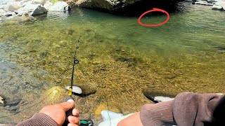 Increible pesca de truchas en un pequeño rio [upl. by Ytte]