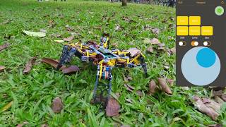 Hexapod  Sunday in the Park with App screen [upl. by Ahsiened403]