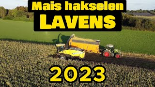 Mais Hakselen 2023  Lavens  New holland FR700  4K drone amp gopro veld 2 [upl. by Iborian282]