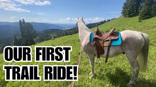 Arabian HORSE 🏔️ Trail riding in MONTANA POV [upl. by Gnouv72]