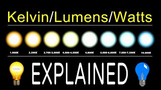 How To Chose LED Bulbs  Kelvin Lumens amp Watts EXPLAINED [upl. by Ecinad997]