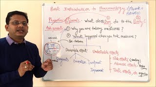 Pharmacokinetic and Pharmacodynamic  General Pharmacology  General Pharmacology  ADME Concepts [upl. by Anelhtak96]