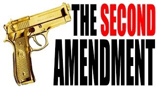 The Second Amendment Explained The Constitution for Dummies Series [upl. by Liane]