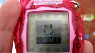 Devilgotchi debug Tamagotchi v3 [upl. by Ayanet]