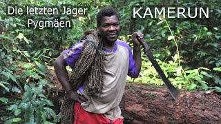 Die letzten Jäger  Pygmäen in Kamerun  2013  KAMERUNCameroon [upl. by Onairpic753]