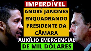 IMPERDÍVEL AUXÍLIO EMERGENCIAL DE 1000 DÓLARES E SESSÃO DE VOTAÇÃO DA MP 100020 I COMO FOI JANONES [upl. by Carita]