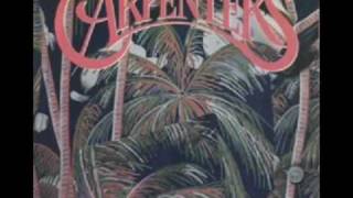 Carpenters  Honolulu City Lights [upl. by Adyht]